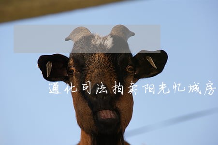 通化司法拍卖阳光忆城房产 通化司法拍卖阳光忆城房产