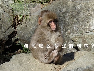 通化地区专业的刑事律师团队 通化地区专业的刑事律师团队