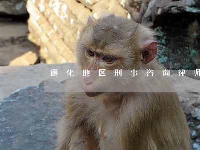通化地区刑事咨询律师电话 通化地区刑事咨询律师电话