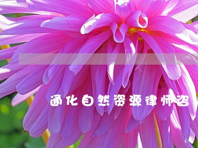 通化自然资源律师咨询电话 通化自然资源律师咨询电话