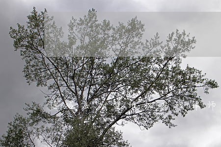 通城县加盟维权在线律师 通城县加盟维权在线律师