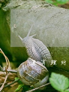 通宵理财通周转逾期