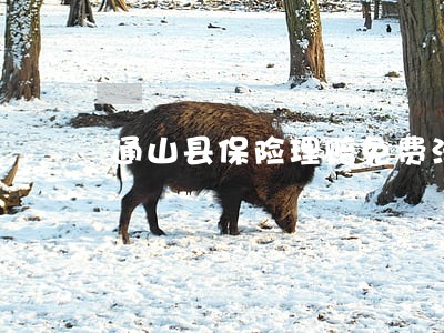 通山县保险理赔免费法律咨询热线 通山县保险理赔免费法律咨询热线