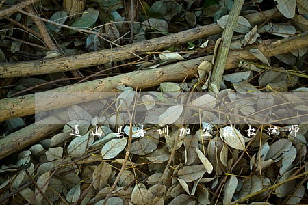 通山县培训加盟维权律师