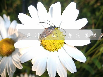 通州专业人身伤害律师 通州专业人身伤害律师