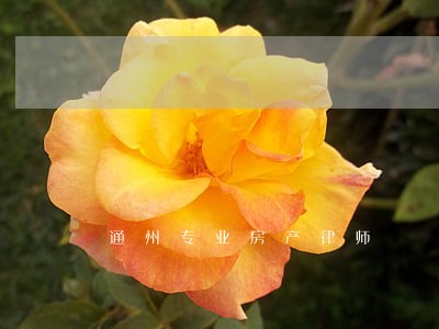 通州专业房产律师 通州专业房产律师