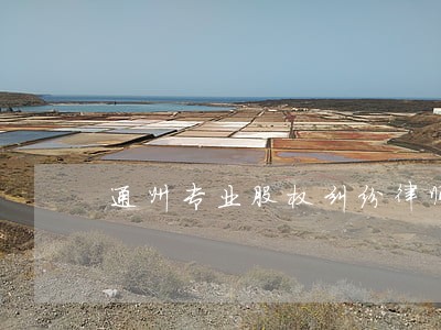 通州专业股权纠纷律师 通州专业股权纠纷律师