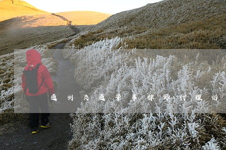 通州交通肇事律师代理诉讼