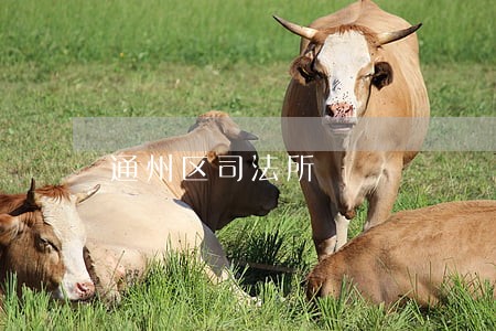 通州区司法所 通州区司法所