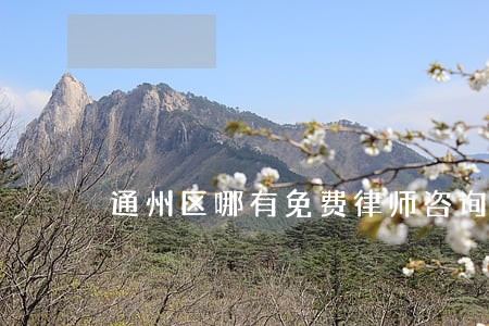 通州区哪有免费律师咨询 通州区哪有免费律师咨询
