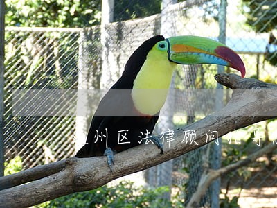 通州区法律顾问指导意见 通州区法律顾问指导意见