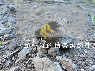 通州好的债务纠纷律师咨询 通州好的债务纠纷律师咨询