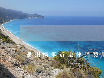 通州婚姻诉讼律师费用 通州婚姻诉讼律师费用