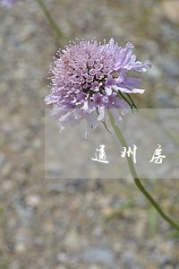 通州房产律师在线解答 通州房产律师在线解答