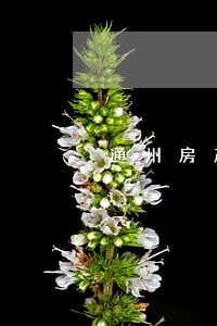 通州房产律师费用 通州房产律师费用