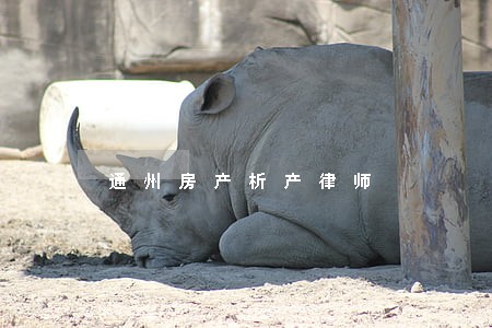 通州房产析产律师 通州房产析产律师