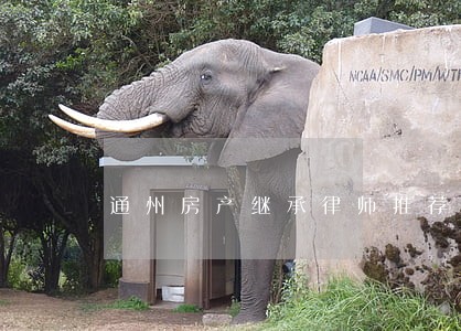 通州房产继承律师推荐 通州房产继承律师推荐