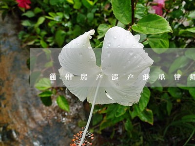 通州房产遗产继承律师 通州房产遗产继承律师