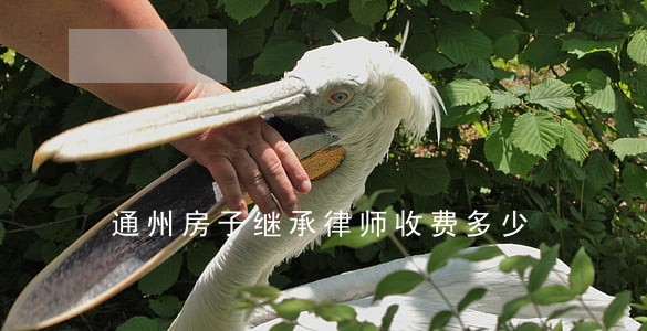 通州房子继承律师收费多少 通州房子继承律师收费多少
