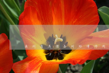 通州有名债务纠纷律师所 通州有名债务纠纷律师所
