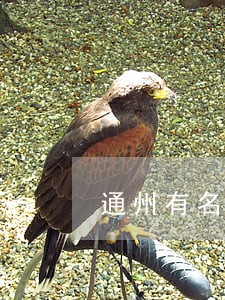 通州有名民商律师费用 通州有名民商律师费用