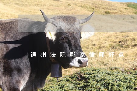 通州法院哪家律师好点