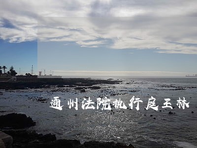 通州法院执行庭王林