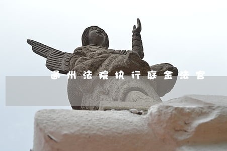 通州法院执行庭金法官