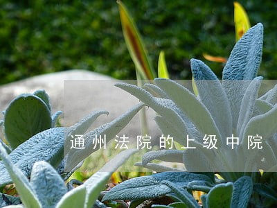 通州法院的上级中院 通州法院的上级中院