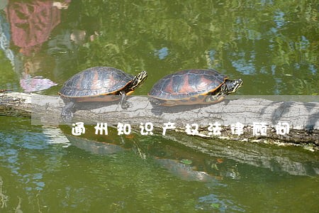 通州知识产权法律顾问