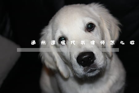 通州遗嘱代书律师怎么收费 通州遗嘱代书律师怎么收费