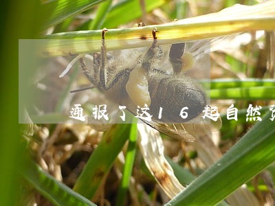 通报了这16起自然资源违法案件 通报了这16起自然资源违法案件