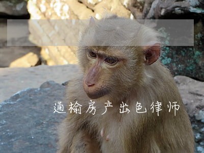 通榆房产出色律师 通榆房产出色律师