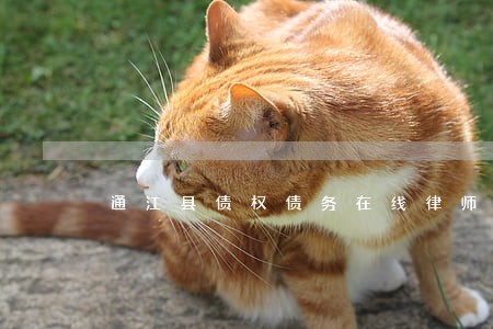 通江县债权债务在线律师 通江县债权债务在线律师