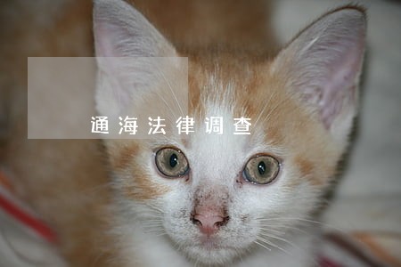 通海法律调查 通海法律调查