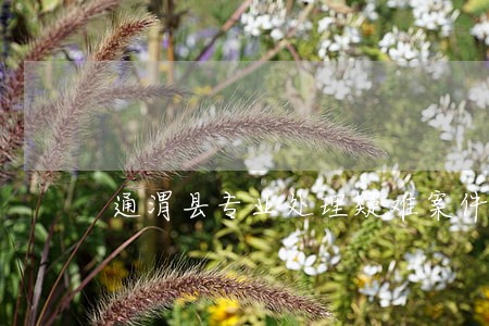 通渭县专业处理疑难案件律师 通渭县专业处理疑难案件律师