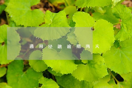 通用经融逾期两天 通用经融逾期两天