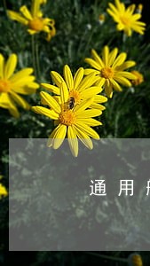 通用航空法规体系