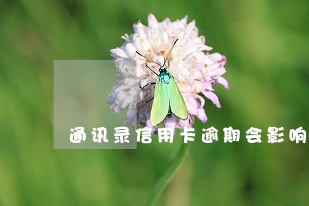 通讯录信用卡逾期会影响征信吗
