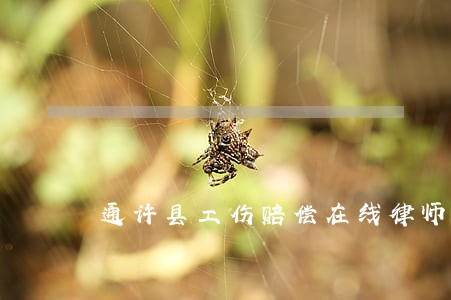 通许县工伤赔偿在线律师 通许县工伤赔偿在线律师