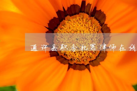 通许县职务犯罪律师在线免费咨询 通许县职务犯罪律师在线免费咨询