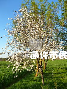 通许市民之家服务电话 通许市民之家服务电话