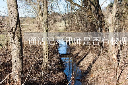 通话记录律师是否有权调取 通话记录律师是否有权调取
