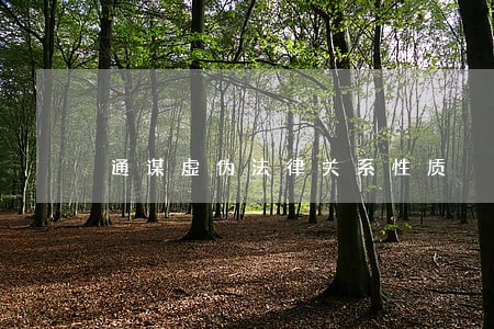 通谋虚伪法律关系性质 通谋虚伪法律关系性质
