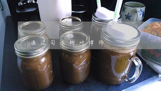 通辽司法柳叶律师