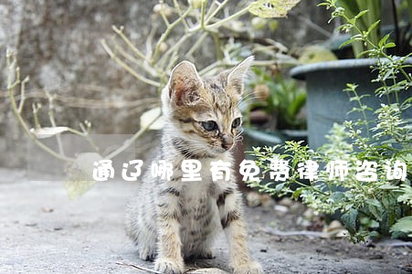 通辽哪里有免费律师咨询 通辽哪里有免费律师咨询
