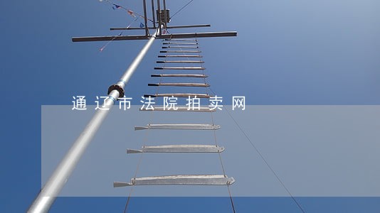 通辽市法院拍卖网 通辽市法院拍卖网