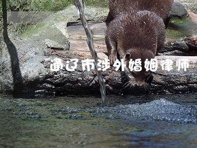 通辽市涉外婚姻律师 通辽市涉外婚姻律师