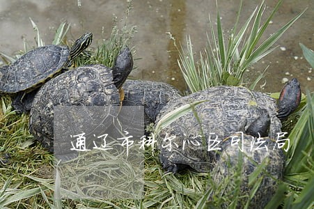 通辽市科尔沁区司法局 通辽市科尔沁区司法局