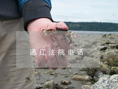 通辽法院电话